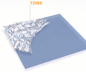 3d view of Tsuro