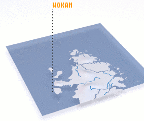 3d view of Wokam