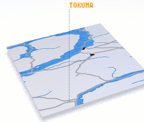 3d view of Tokuma