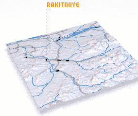 3d view of Rakitnoye