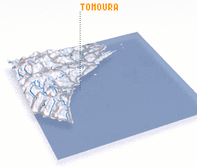 3d view of Tomoura