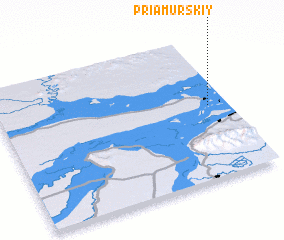 3d view of Priamurskiy