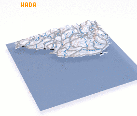 3d view of Wada