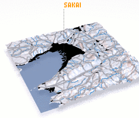 3d view of Sakai