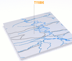 3d view of Tyube