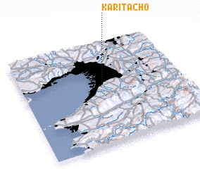 3d view of Karitachō