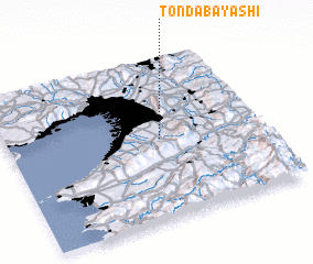 3d view of Tondabayashi