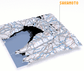 3d view of Sakamoto