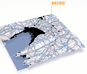 3d view of Hashio
