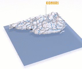 3d view of Komori