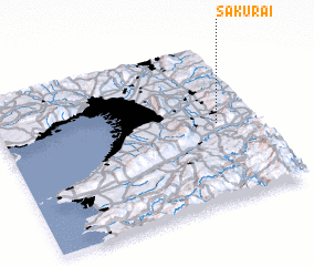 3d view of Sakurai