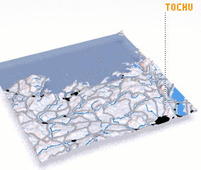 3d view of Tochū