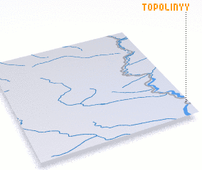 3d view of Topolinyy