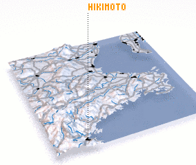 3d view of Hikimoto