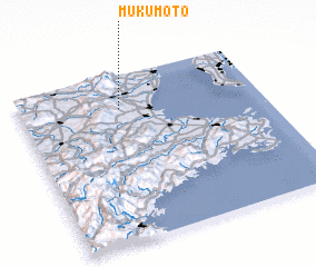 3d view of Mukumoto