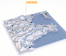 3d view of Sakura