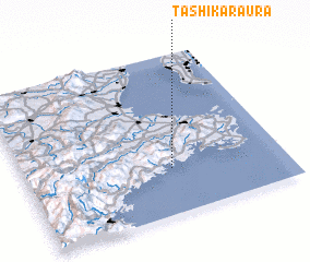 3d view of Tashikaraura