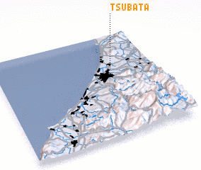 3d view of Tsubata