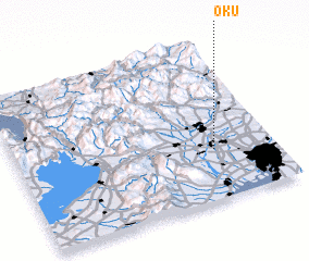 3d view of Oku