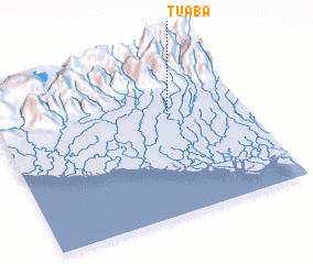 3d view of Tuaba