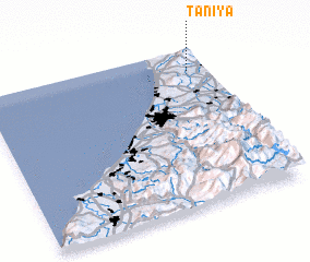 3d view of Taniya