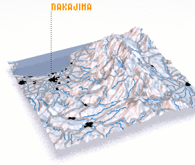 3d view of Nakajima