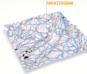 3d view of Nakatsugawa
