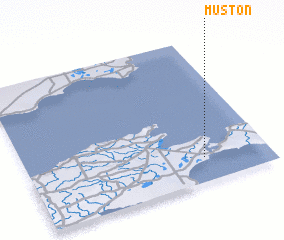 3d view of Muston
