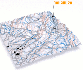 3d view of Nakamura