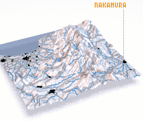 3d view of Nakamura