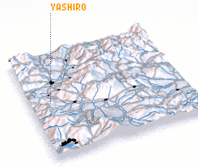 3d view of Yashiro