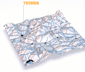 3d view of Yoshida