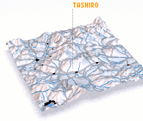 3d view of Tashiro