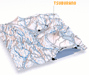 3d view of Tsuburano