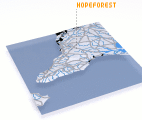 3d view of Hope Forest