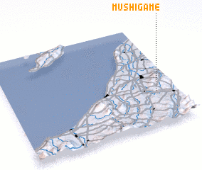 3d view of Mushigame