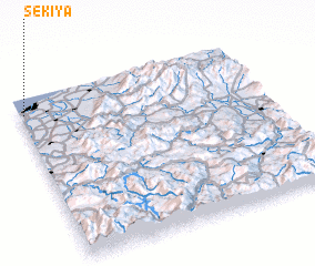 3d view of Sekiya