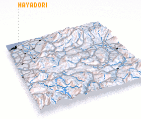 3d view of Hayadōri