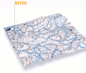 3d view of Niitsu