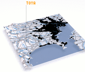 3d view of Toya