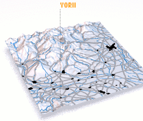 3d view of Yorii