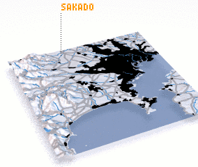 3d view of Sakado