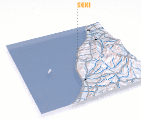 3d view of Seki