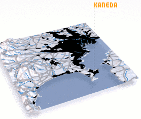 3d view of Kaneda