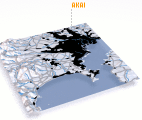 3d view of Akai