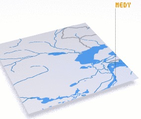 3d view of Medy