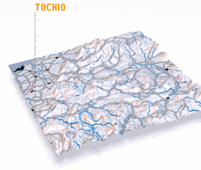 3d view of Tochio