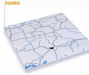 3d view of Ngamba