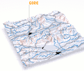 3d view of Gore