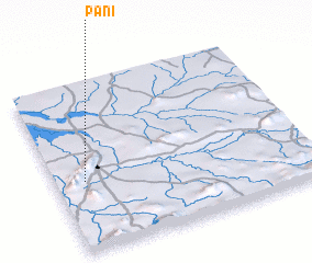 3d view of Pani